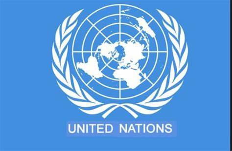 DECLARAÇÃO PÚBLICA DAS NAÇÕES UNIDAS (ONU)
